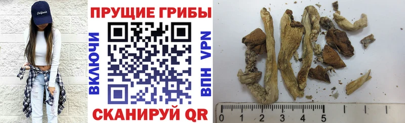 Псилоцибиновые грибы Psilocybine cubensis  продажа наркотиков  Темников 